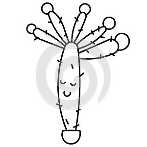 Hand drawn doodle botanical plant cactus clip art illustration