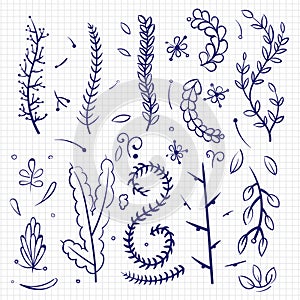 Hand drawn doodle branches and decorative elements