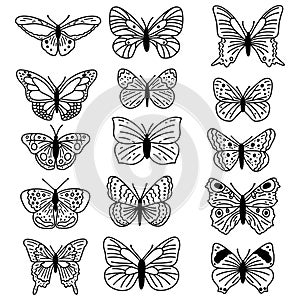 Hand drawn doodle butterflies set. Vector sketch illustration, black outline art collection of insect for web design