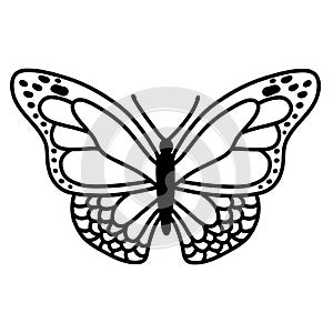 Hand drawn doodle butterfly. Vector sketch illustration, black outline art of insect for web design, icon, print
