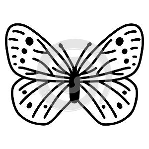 Hand drawn doodle butterfly. Vector sketch illustration, black outline art of insect for web design, icon, print photo