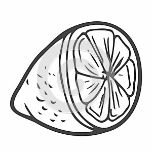 Hand-drawn doodle cartoon style vector illustration. Collection set of lemon lime orange citrus fruits For menu, farmers market