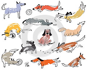 Hand drawn doodle cute dogs. Illustration set with plaing pets w