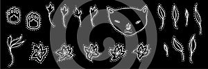 Hand drawn doodle decorative set. Vector illustration with flowers, leaves, cat head and paws. Elements for design.