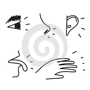 hand drawn doodle Five senses vector icon illustration set