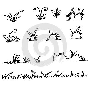 Hand drawn doodle grass illustration vector