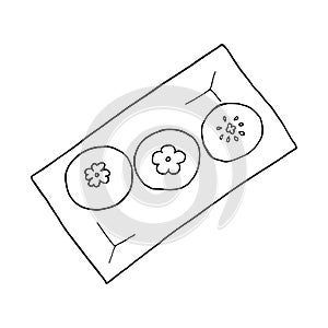 Hand drawn doodle hee pan is a Hakka sticky rice cake. Chinese cuisine dish. Design sketch element for menu cafe, restaurant,