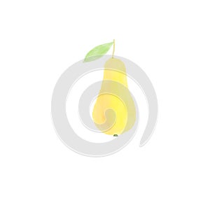 Hand drawn doodle sketchy digital watercolor drawing of ripe yellow pear on stem with green leave. Kids style illustration