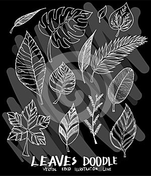 Hand drawn doodle vector line leaves tree nature icon set on Chalkboard eps10