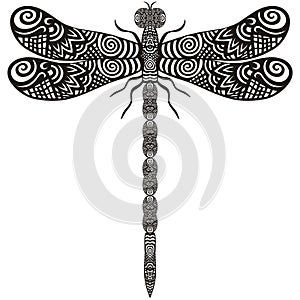 Hand drawn dragonfly pattern in ornate doodles, zentangl style. photo
