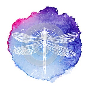 Hand drawn dragonfly on watercolor background