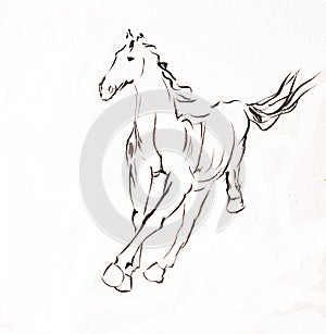 Galloping horse outline painting ink and brush photo