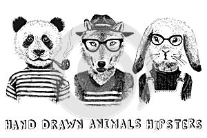 Hand drawn dressed up animals in hipster style