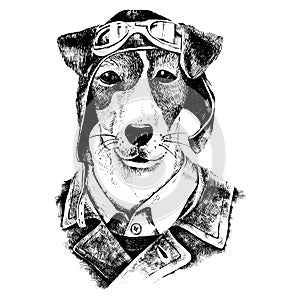 Hand drawn dressed up dog aviator