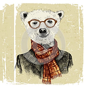 Hand drawn dressed up hipster bear in glasses