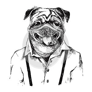 Hand drawn dressed up pug in hipster style