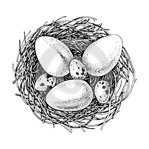 Hand drawn eggs and nests. Easter element