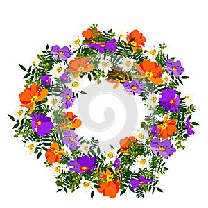 Hand drawn elegant and romantic graphic flower frame with llight pastel colors with orange and blue primrose