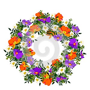 Hand drawn elegant and romantic graphic flower frame with llight pastel colors with orange and blue primrose photo