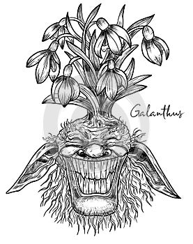 Hand drawn engraved illustrations with funny demon or gnome face as root