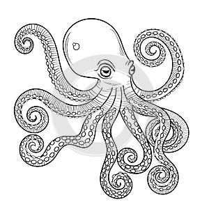 Hand drawn engraving Octopus, animal totem for adult Coloring Pa