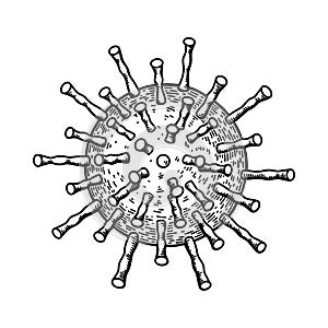 Hand drawn Epstein-barr virus isolated on white background. Realistic detailed scientifical vector illustration in sketch stile