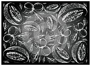 Hand Drawn European Plum and Chiverre Fruits on Chalkboard photo