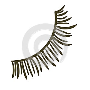 Hand-Drawn eyeslashes. Flat vector illustration. Make up