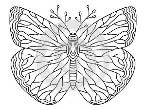 Hand-drawn fantasy butterfly coloring page for adults vector illustration