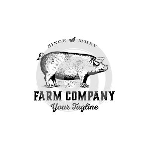 Hand drawn farm logo design vector - vintage pig logo design inspiration -