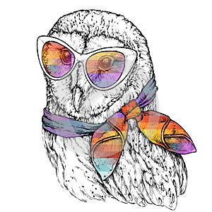 Hand Drawn Fashion Illustration of Barn Owl with sunglasses