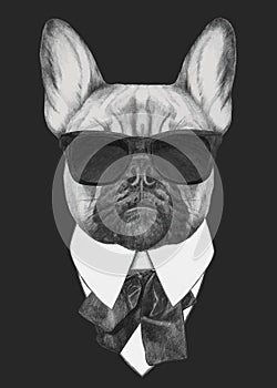 Hand drawn fashion Illustration of French Bulldog.