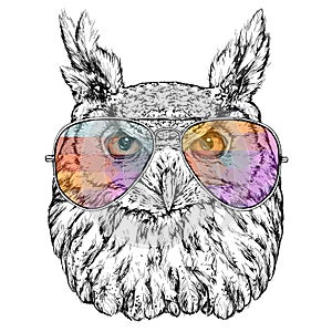Hand Drawn Fashion Illustration of Hipster Owl with aviator sunglasses photo