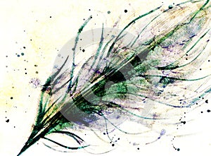 Hand drawn feather and drops on paper texture, varicolored tint