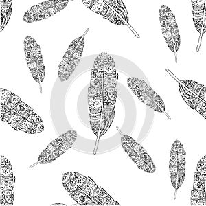 Hand drawn feather pattern. Zentangle style.