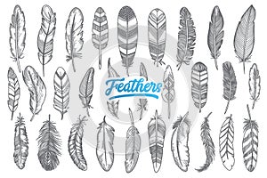 Hand drawn feather set with blue lettering