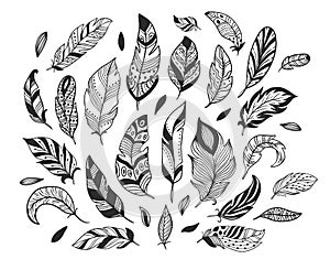 Hand drawn feathers. Sketch bird feather, retro artistic drawing ink pen and birds feathering vector isolated