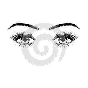 Hand drawn female eyes silhouette. Eyes with eyelashes and eyebrows. Vector illustration isolated on white background photo