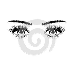 Hand drawn female eyes silhouette with eyelashes and eyebrows. Vector illustration isolated on white background photo