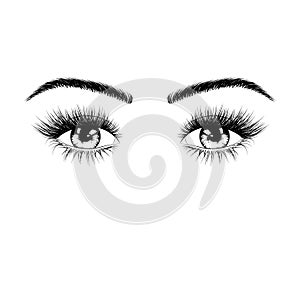 Hand drawn female eyes silhouette. Eyes with eyelashes and eyebrows. Vector illustration isolated on white background