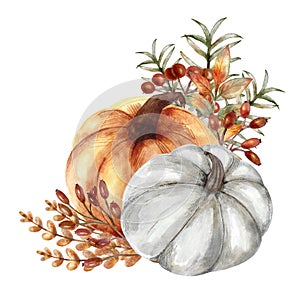 Hand drawn festive orange and gray pumpkins composition, isolated on white background. Autumn harvest, fall ripe orange