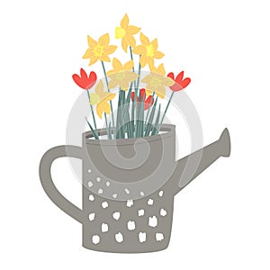 Hand-drawn first spring flowers in a garden watering can on a white background. Tulips and daffodils vector illustration