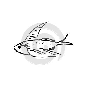 Hand Drawn fish doodle. Sketch style icon. Decoration element. I