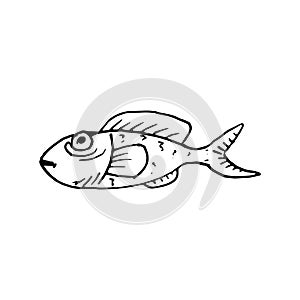 Hand Drawn fish doodle. Sketch style icon. Decoration element. I