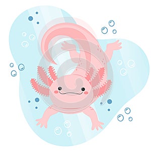 Hand drawn flat ajolote set Vector illustration.