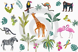 Hand drawn flat exotic flora and fauna elements collection