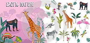 Hand drawn flat exotic flora and fauna icon illustration collection