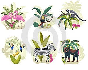 Hand drawn flat exotic flora and fauna mini illustration set