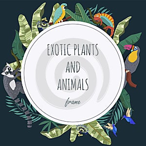 Hand drawn flat exotic flora and fauna round frame background