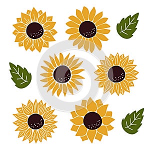 Hand drawn flat Sunflower vector illustration